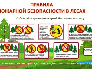 Правила пожарной безопасностти в лесу.